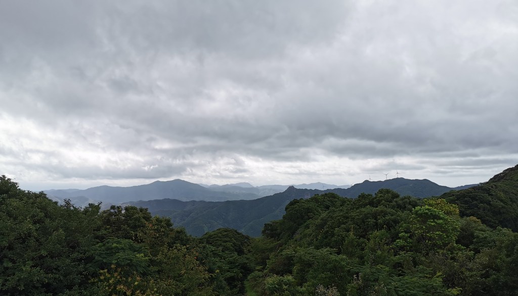 Recevoir les articles dans ses&nbsp;mails