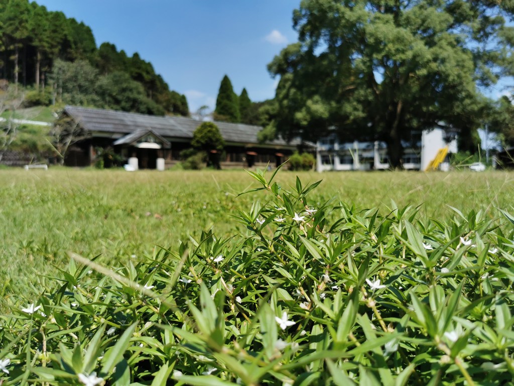 C&rsquo;est pas Poudlard&nbsp;mais…