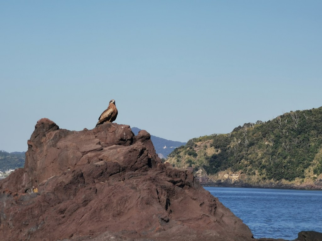 Piafs et clap de&nbsp;fin