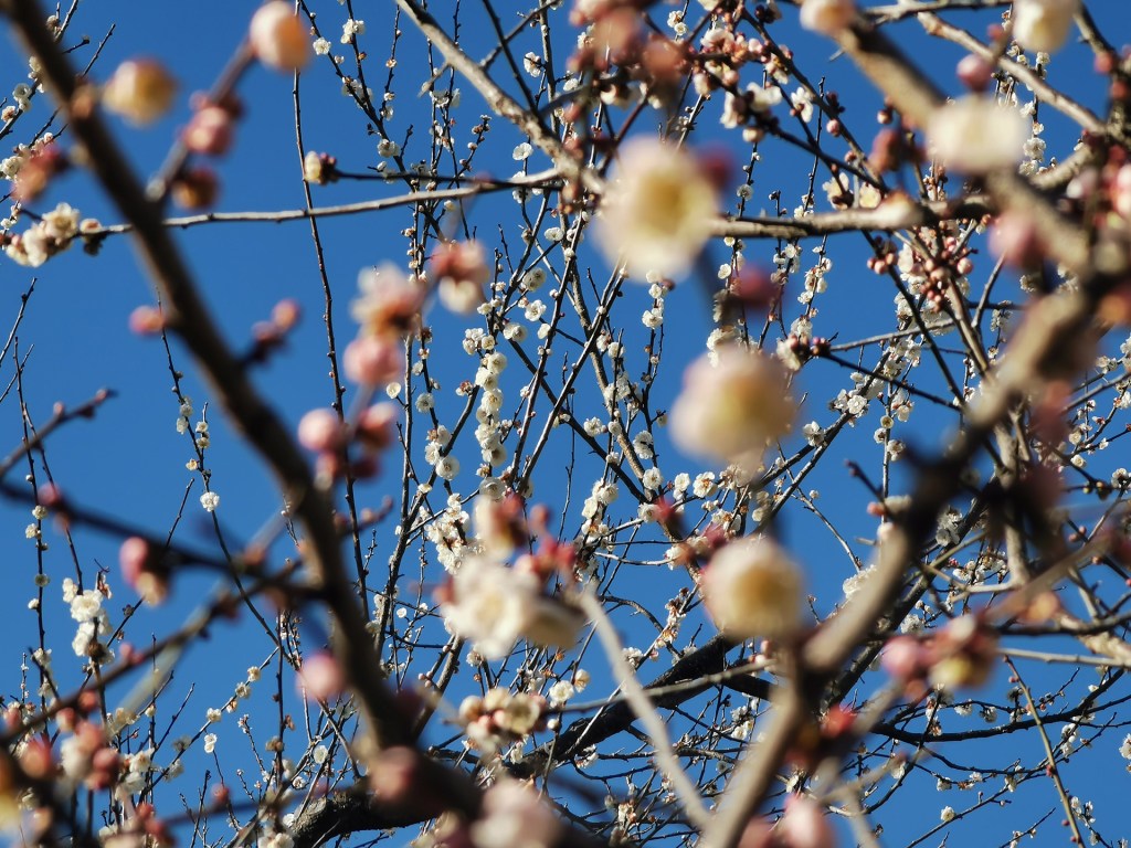 Mito 2, le retour&nbsp;(ep.7)