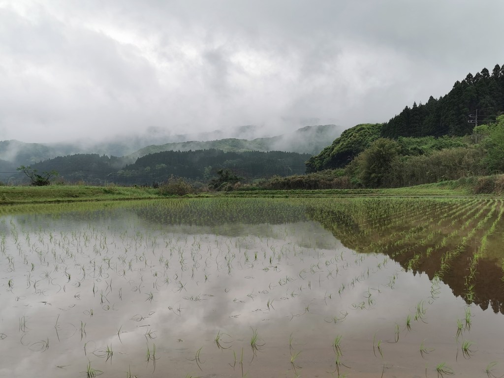 On a beaucoup riz&nbsp;!