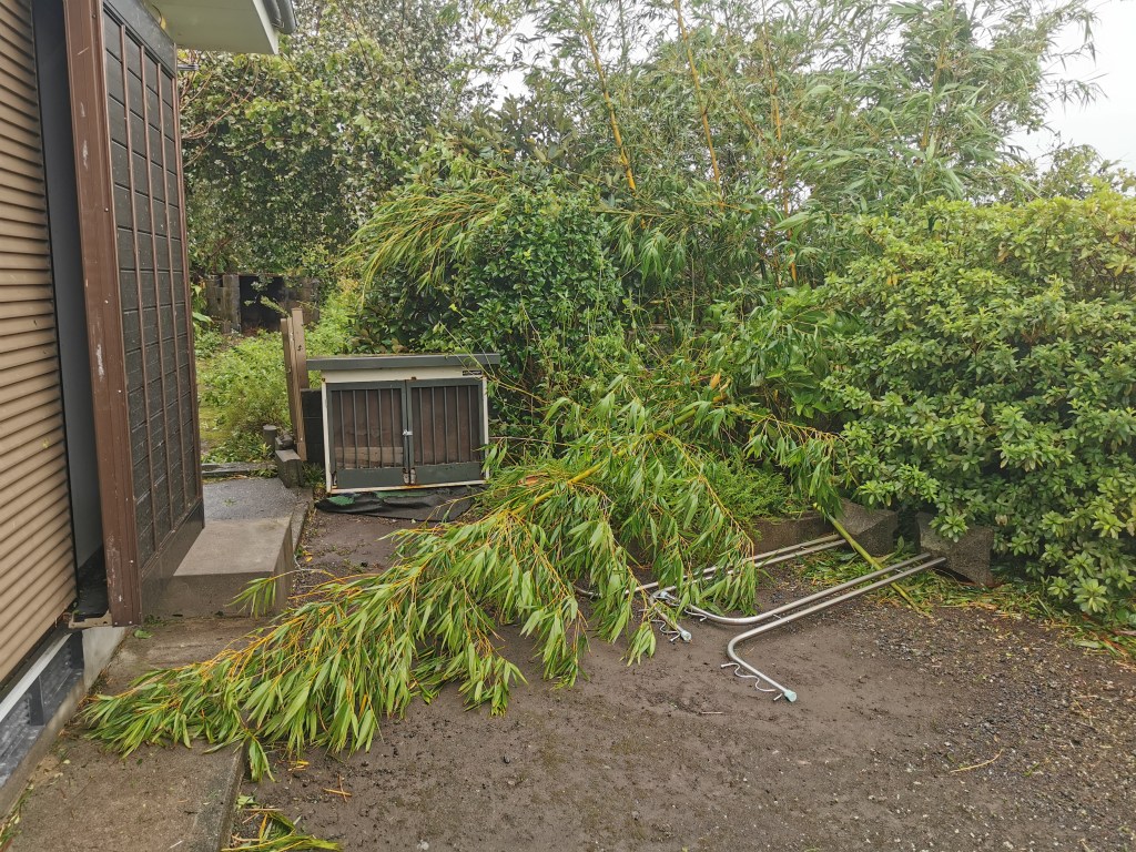 Un typhon phon&nbsp;phon…