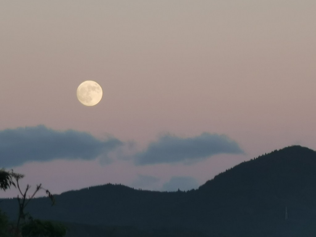 Quand le sage montre la Lune