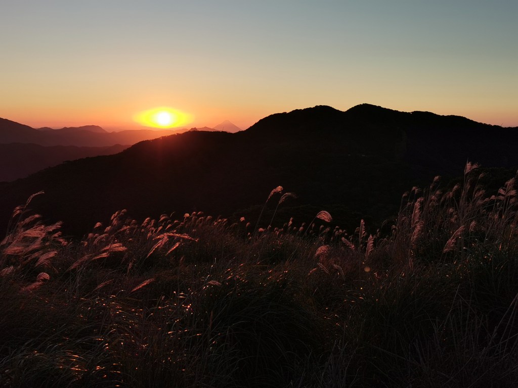 D&rsquo;une année à l&rsquo;autre,&nbsp;suite.