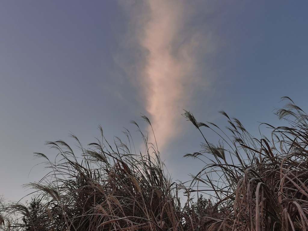 Dans le grand nord…