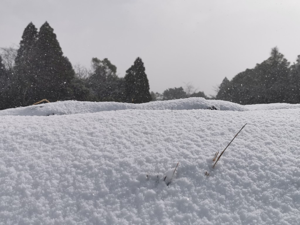 Si tu ne vas pas à Hokkaido…